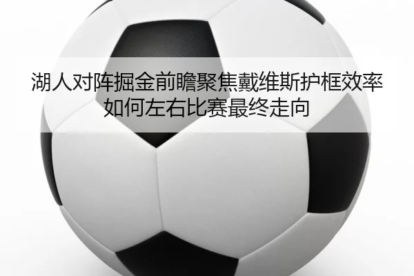 湖人对阵掘金前瞻聚焦戴维斯护框效率如何左右比赛最终走向